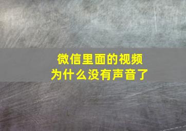 微信里面的视频为什么没有声音了