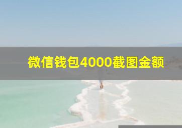 微信钱包4000截图金额