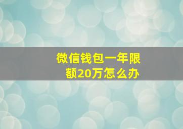 微信钱包一年限额20万怎么办