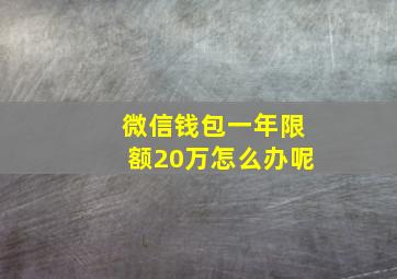 微信钱包一年限额20万怎么办呢