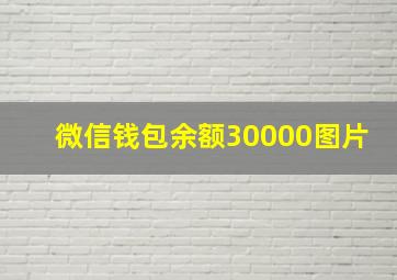 微信钱包余额30000图片