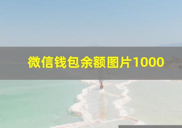 微信钱包余额图片1000