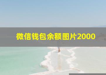 微信钱包余额图片2000