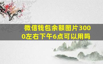 微信钱包余额图片3000左右下午6点可以用吗