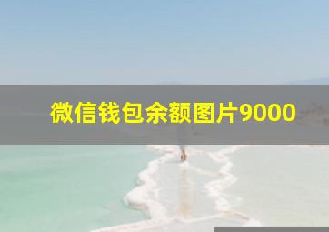 微信钱包余额图片9000