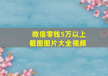 微信零钱5万以上截图图片大全视频