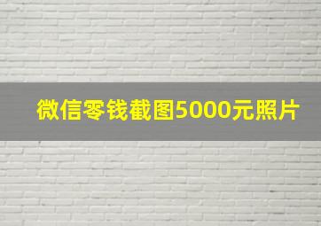 微信零钱截图5000元照片