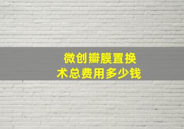 微创瓣膜置换术总费用多少钱