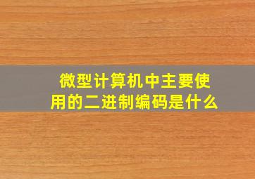 微型计算机中主要使用的二进制编码是什么