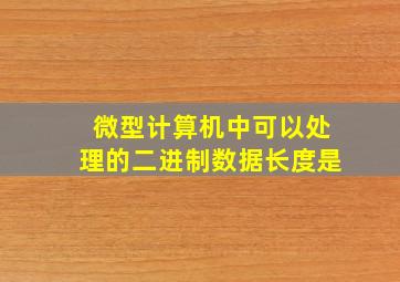 微型计算机中可以处理的二进制数据长度是