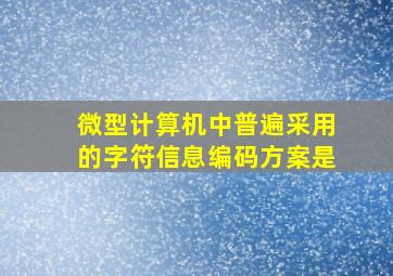 微型计算机中普遍采用的字符信息编码方案是