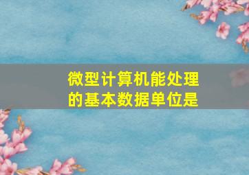 微型计算机能处理的基本数据单位是