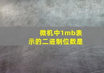 微机中1mb表示的二进制位数是