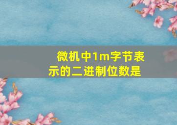 微机中1m字节表示的二进制位数是