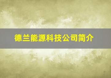 德兰能源科技公司简介