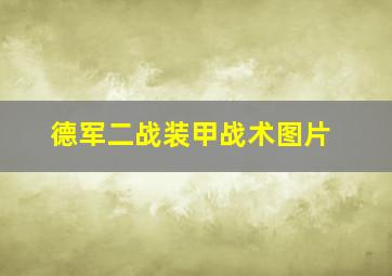 德军二战装甲战术图片