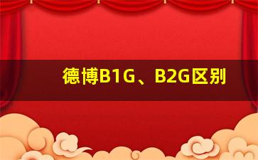 德博B1G、B2G区别