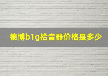 德博b1g拾音器价格是多少