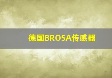 德国BROSA传感器