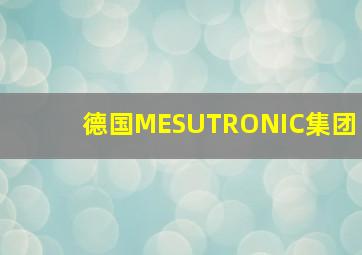 德国MESUTRONIC集团