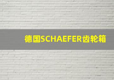 德国SCHAEFER齿轮箱