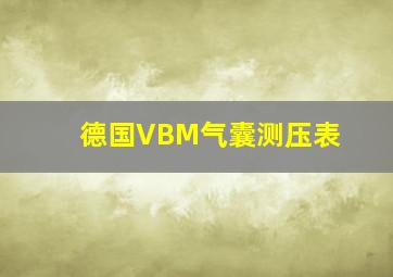 德国VBM气囊测压表