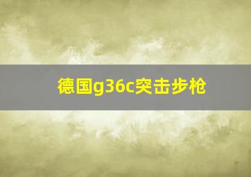 德国g36c突击步枪