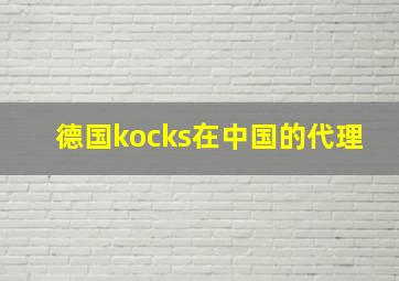 德国kocks在中国的代理