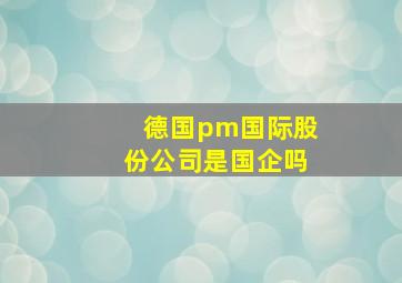 德国pm国际股份公司是国企吗