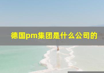 德国pm集团是什么公司的