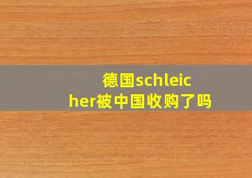 德国schleicher被中国收购了吗