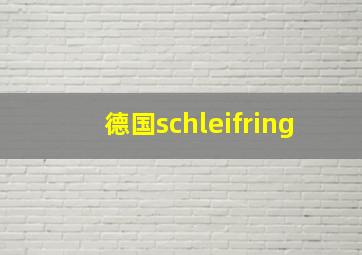 德国schleifring