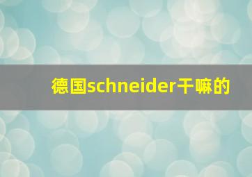 德国schneider干嘛的