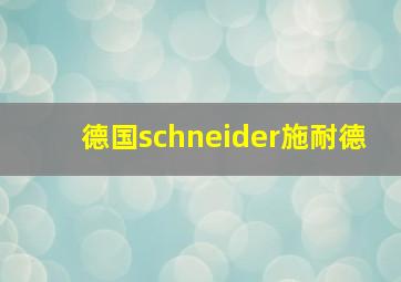 德国schneider施耐德