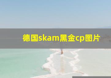 德国skam黑金cp图片