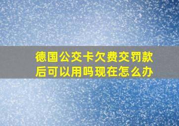 德国公交卡欠费交罚款后可以用吗现在怎么办