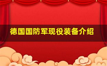 德国国防军现役装备介绍