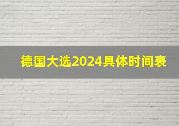 德国大选2024具体时间表