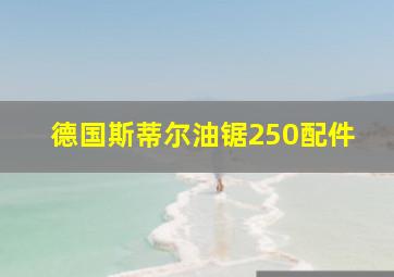 德国斯蒂尔油锯250配件