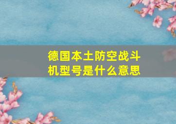 德国本土防空战斗机型号是什么意思