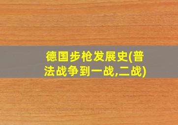 德国步枪发展史(普法战争到一战,二战)