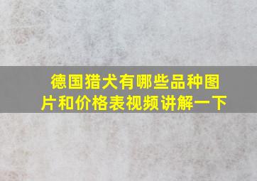 德国猎犬有哪些品种图片和价格表视频讲解一下