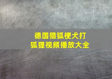 德国猎狐梗犬打狐狸视频播放大全