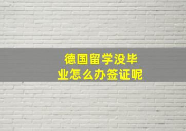 德国留学没毕业怎么办签证呢