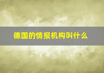 德国的情报机构叫什么