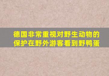 德国非常重视对野生动物的保护在野外游客看到野鸭蛋