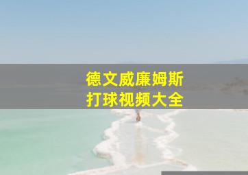 德文威廉姆斯打球视频大全