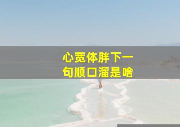 心宽体胖下一句顺口溜是啥