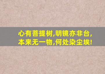 心有菩提树,明镜亦非台,本来无一物,何处染尘埃!