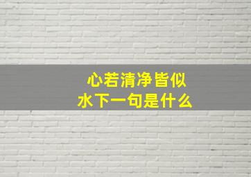 心若清净皆似水下一句是什么